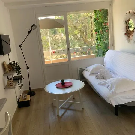 Jacuzzi Piscine Cinema Privatifs Parking Offert Apartment Montpellier