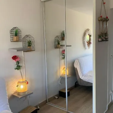 Apartment Jacuzzi Piscine Cinema Privatifs Parking Offert