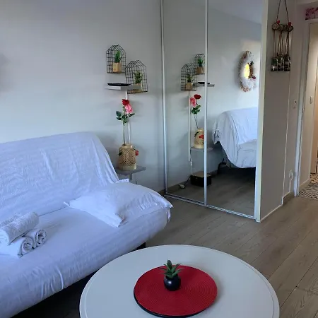 Jacuzzi Piscine Cinema Privatifs Parking Offert Apartment Montpellier